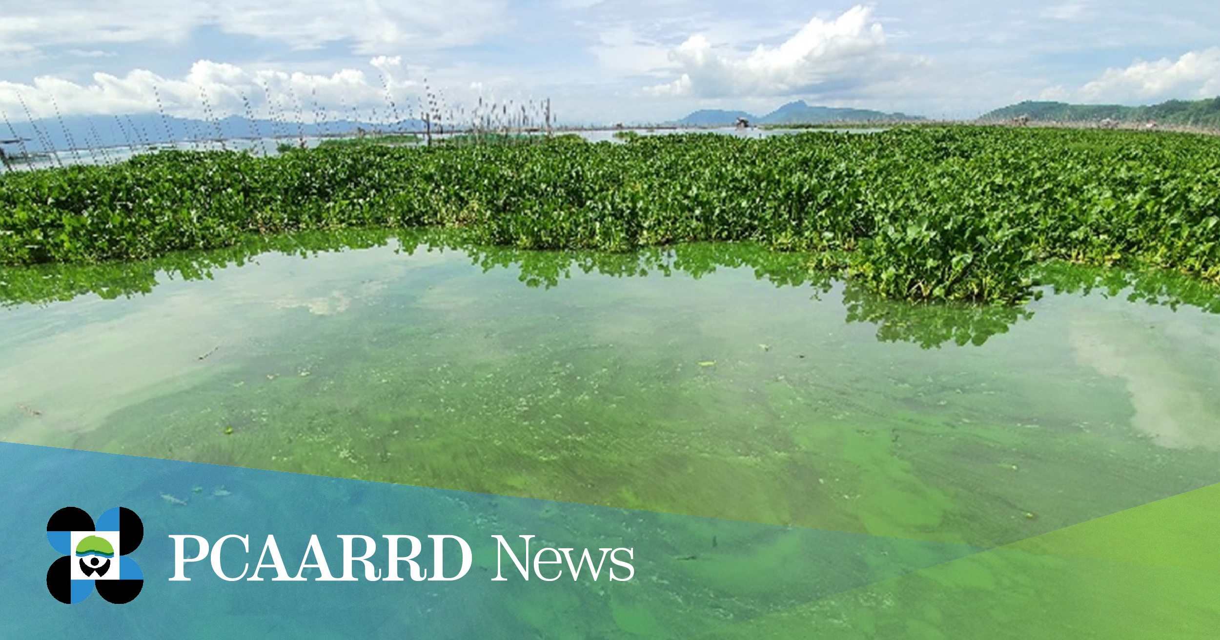 Project utilizes nuclear science to assess toxic algae threat in Laguna Lake